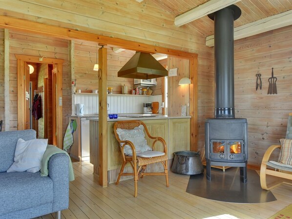 TV, fireplace, DVD player