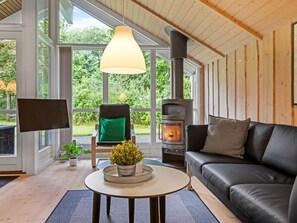 Fernseher, Kamin, DVD-Player