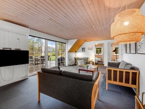 TV, fireplace, DVD player, foosball