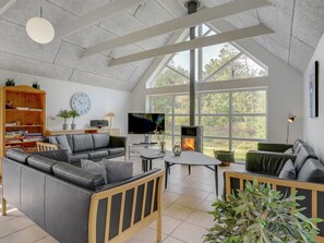 TV, fireplace