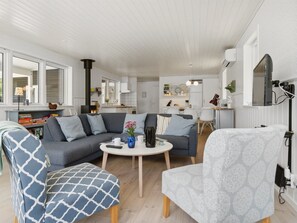 Télévision, cheminée, lecteur de DVD