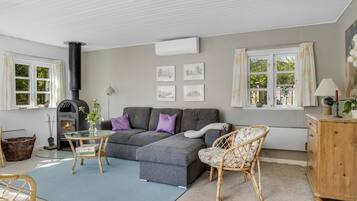 Fernseher, Kamin, DVD-Player