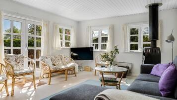 Fernseher, Kamin, DVD-Player