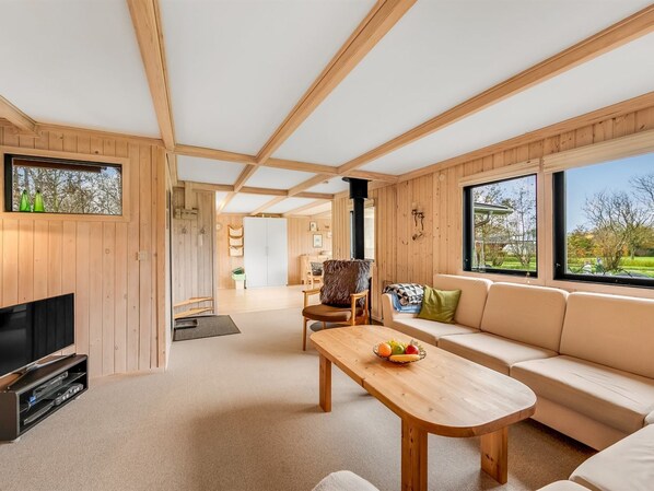 TV, fireplace, DVD player