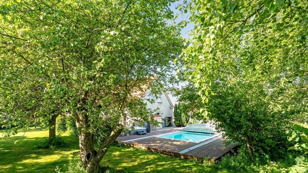 Ein Schwimmbecken, umgeben von üppiger Vegetation und Bäumen.
