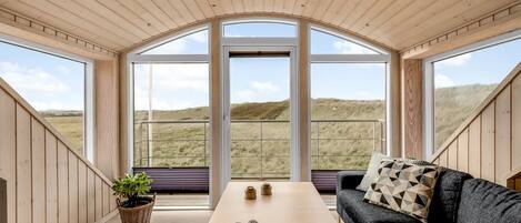 TV, fireplace, DVD player