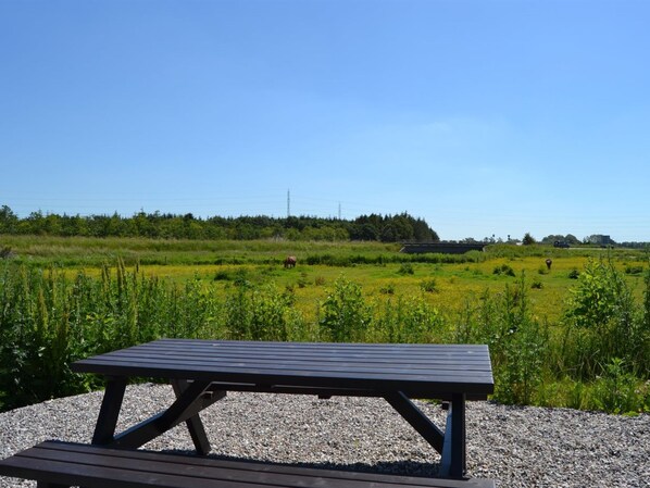 A picnic table in a grassy field with a clear sky.