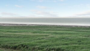 A coastal landscape with a grassy field and a distant view of the sea. - "Stilla" - 35km from the sea by Interhome (Højer)