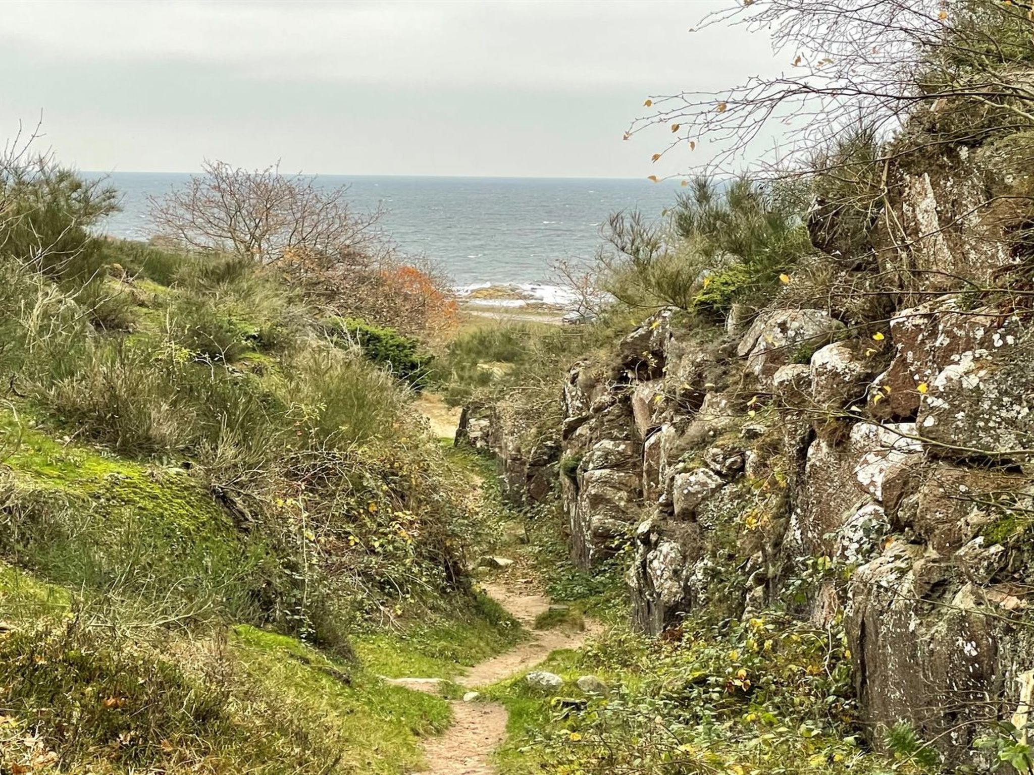 A coastal path with rocky terrain and vegetation leading to the sea.