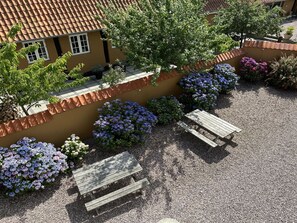 Terras