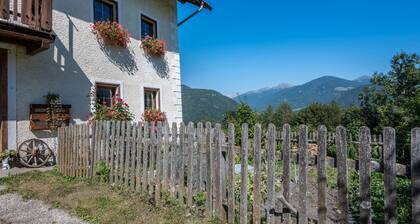 Ferienhaus 'Urthalerhof Historic' mit Bergblick, Gemeinschaftsgarten und WLAN