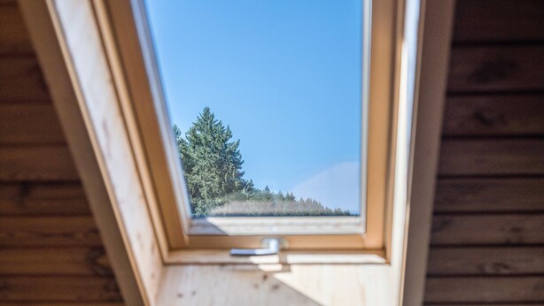A skylight with a view of a forested hillside.