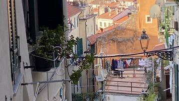Vista desde la propiedad