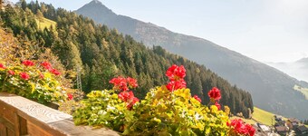 Apartment 'Ferienwohnung Leachwies' with Mountain View, Private Garden and Wi-Fi