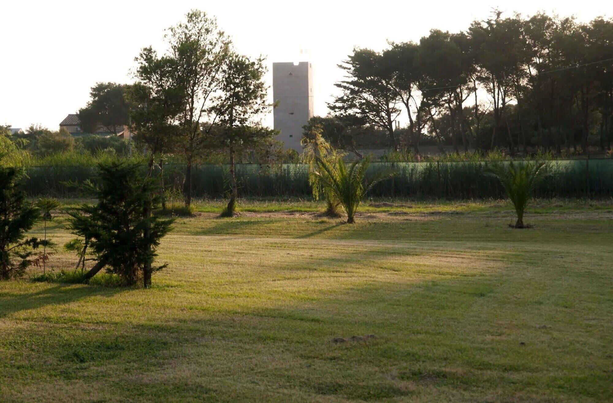 Ein grünes Feld mit Bäumen und einem hohen Gebäude im Hintergrund.