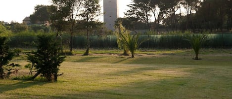 A grassy field with trees and a tall building in the background.