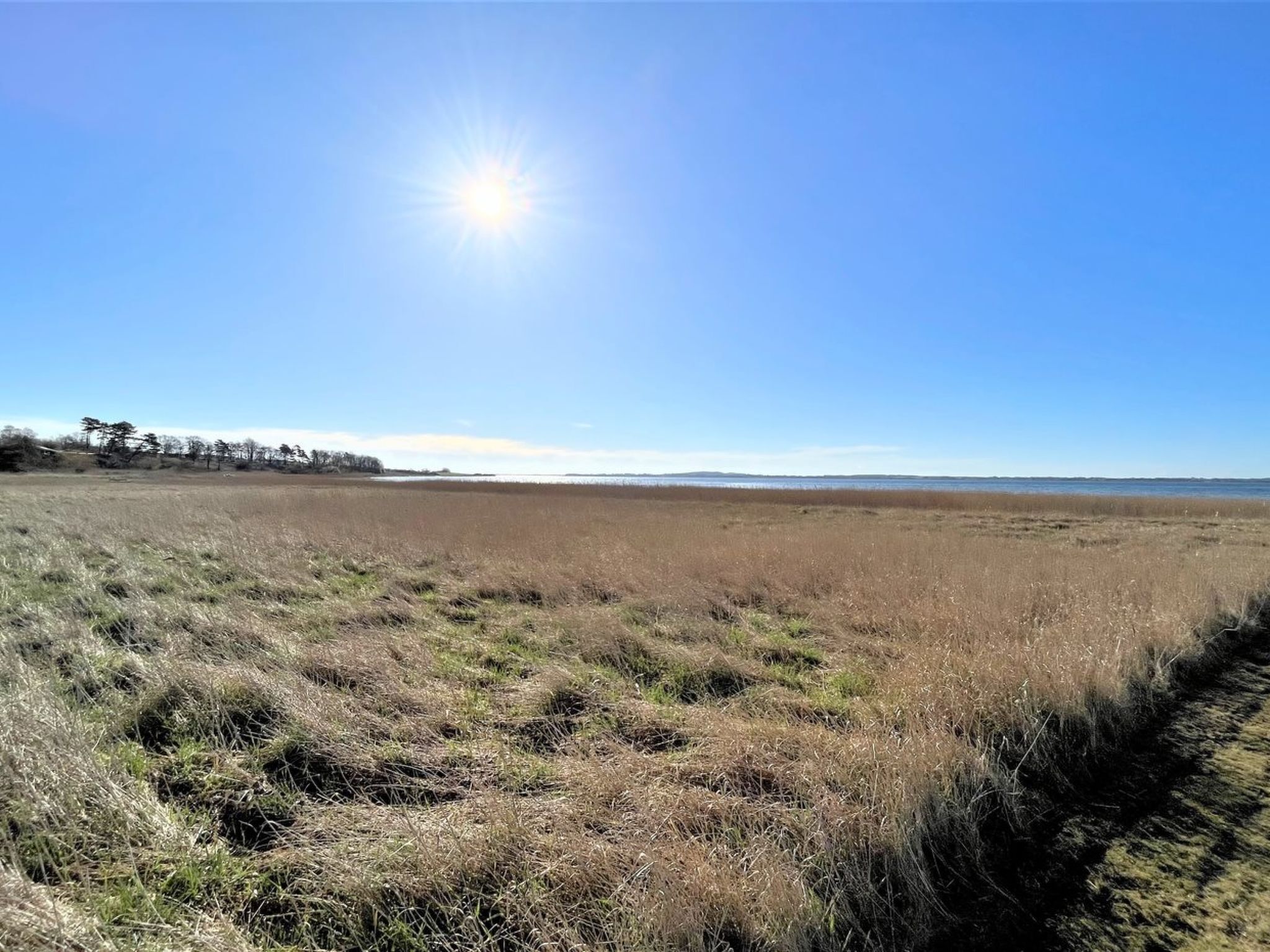 Eine ebene, offene Landschaft mit blauem Himmel und Bäumen in der Ferne.