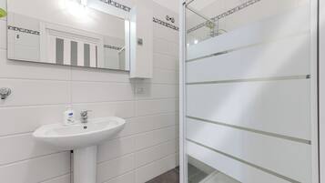 Shower, hair dryer, towels