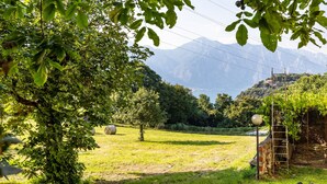 Un paysage rural avec un arbre, des bottes de foin et une échelle appuyée contre une structure.