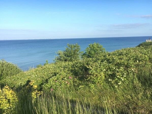 A coastal landscape with dense greenery and a view of the sea.
