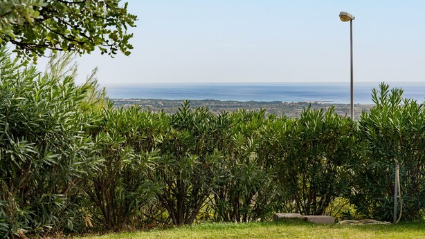 A grassy area with dense foliage and a street lamp. - Holiday Home "Casa in Campagna Totale Relax" with Sea View, Private Garden & Wi-Fi (Orosei)