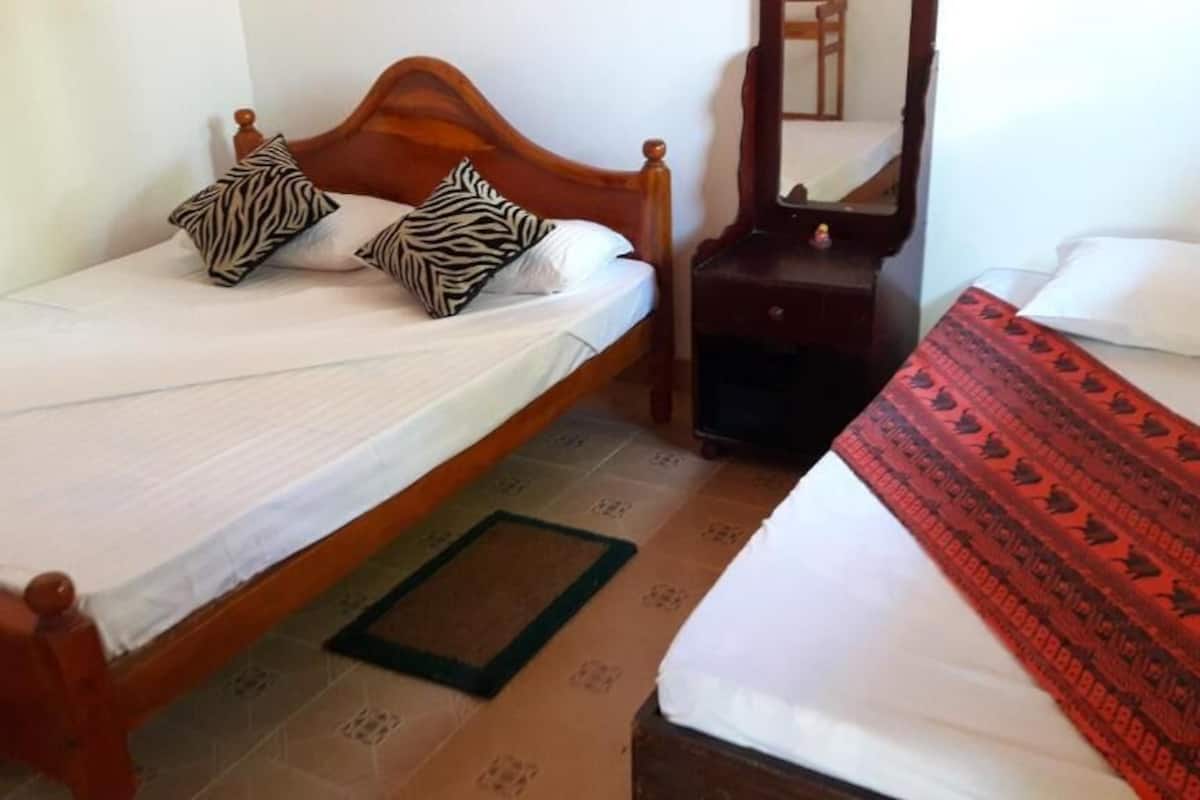 A room with two beds, one with a zebra-patterned pillow and the other with a red patterned blanket.