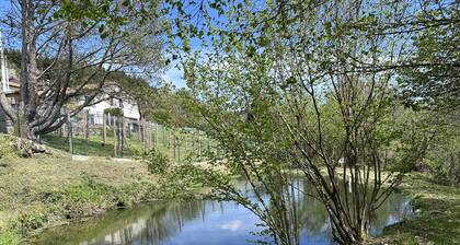 GĂźte calme avec poĂȘle Ă bois, terrasse et animaux admis