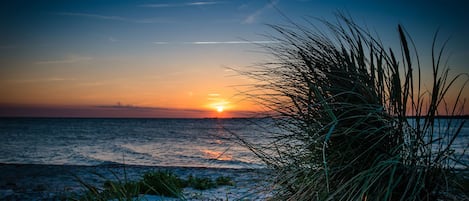 Vlak bij het strand