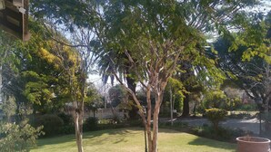 Un jardín bien cuidado con diversas especies de árboles y un camino pavimentado.
