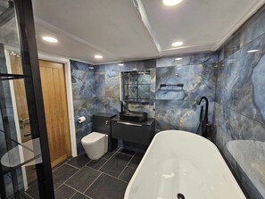 Shower, hair dryer