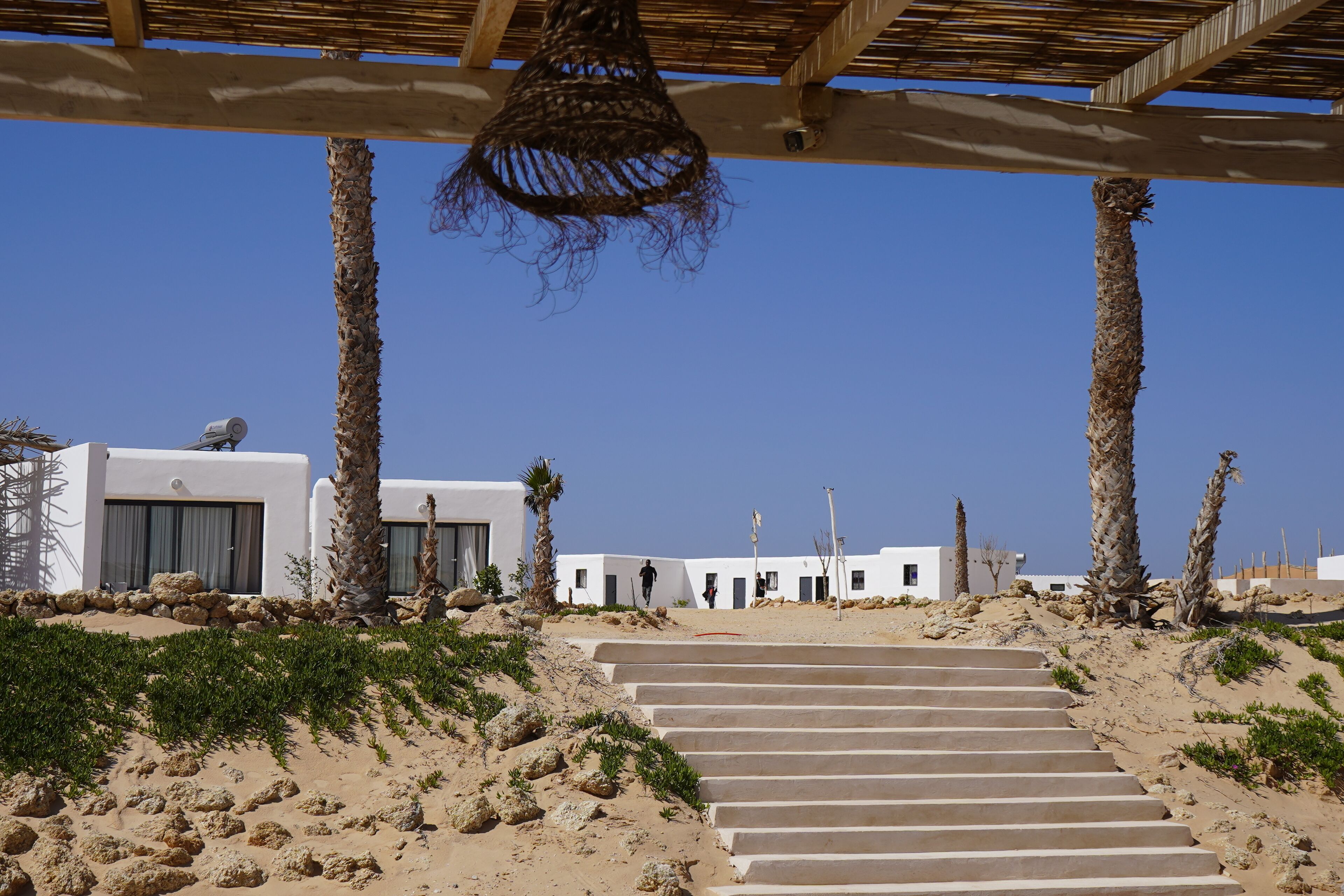 Surf/boogie boarding