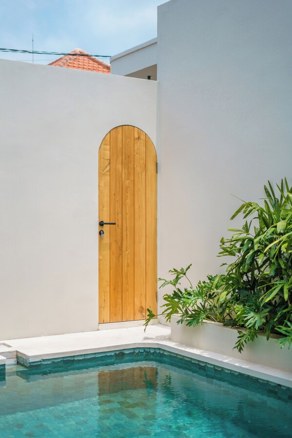Un área de piscina moderna con una puerta de madera y una planta en maceta.