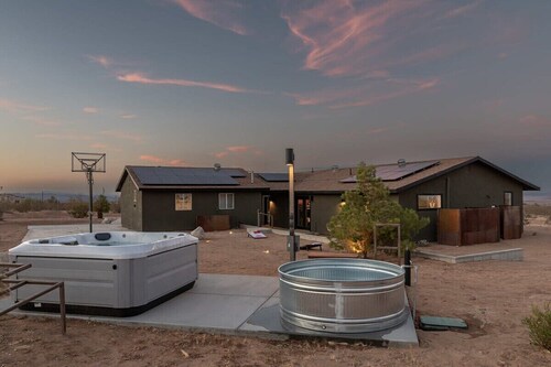 Dagger Tree Oasis by Homestead Modern