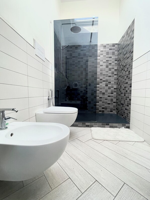 Shower, hair dryer, bidet, towels