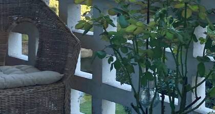 Chambre dâhĂŽtes dans appartement Ă©lĂ©gant centre ville dans un square