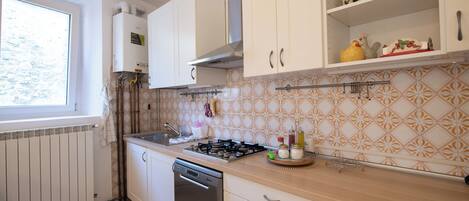 Classic Apartment | Private kitchen | Full-sized fridge, microwave, oven, dishwasher