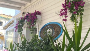 Un espace extérieur abrité, agrémenté de plantes en pot et d’une assiette décorative fixée au mur.