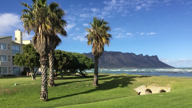 Una zona erbosa con palme e vista sull'oceano e sulle montagne.