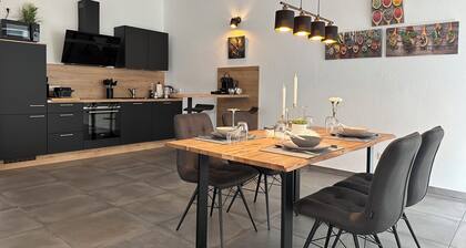 KingSize Bed, two SofaBed, Full Kitchen, WorkSpace 650MBit, Netflix, Centrum,