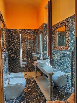 Shower, hair dryer, bidet, towels