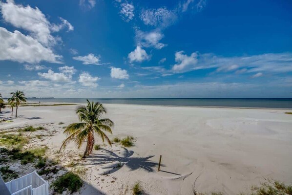A beach with sand, a palm tree, and a clear sky.