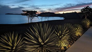 Un espace aménagé avec des plantes d’agave et un sentier.