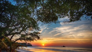Une scène de plage avec un coucher de soleil, des palmiers et un ciel dégagé.