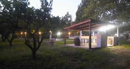 Neocastrum Farmhouse