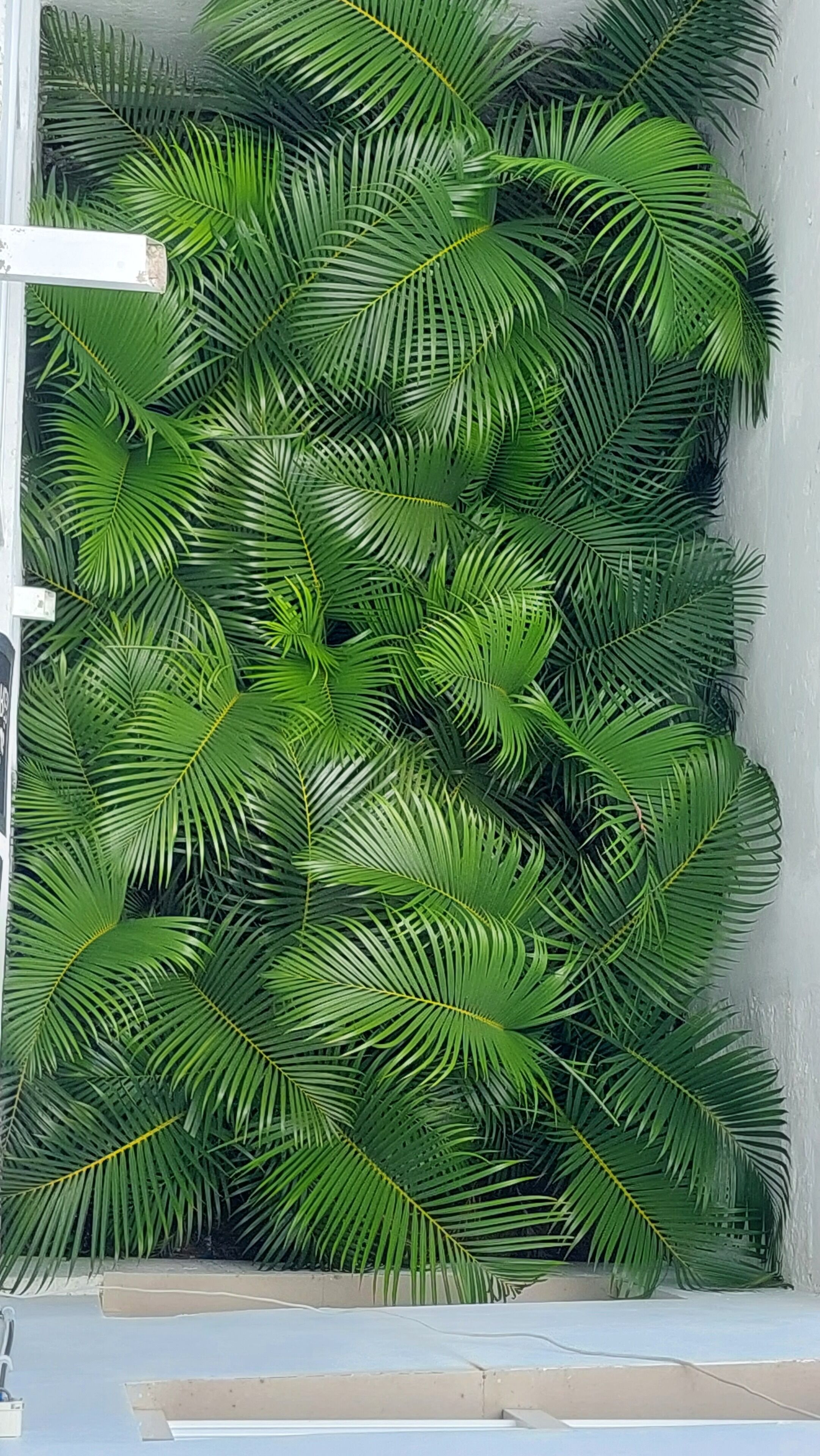 A wall covered with lush green palm fronds.
