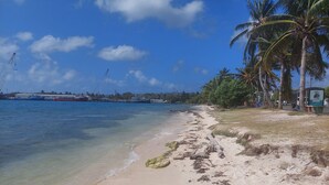 Una playa con agua cristalina, arena dorada y palmeras.