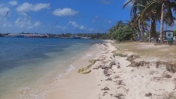 Una playa con agua cristalina, arena dorada y palmeras.