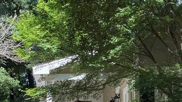 A covered porch with a brick foundation, white railings, and a brick chimney. - Home in Historic old downtown Summerville... (Summerville)