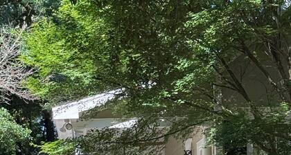 Home in Historic old downtown Summerville...
