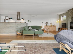 Tv, pejs, dvd-afspiller